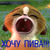 хочу пива