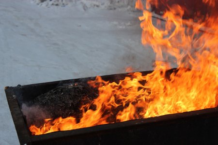 Полиция уничтожает «белую смерть» Полиция уничтожает «белую смерть»