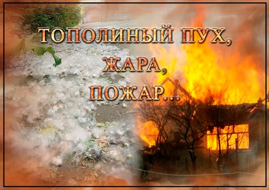 Тополиный пух, жара, пожар… Тополиный пух, жара, пожар…