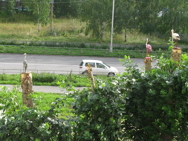 Вдруг откуда не возьмись Вдруг откуда не возьмись