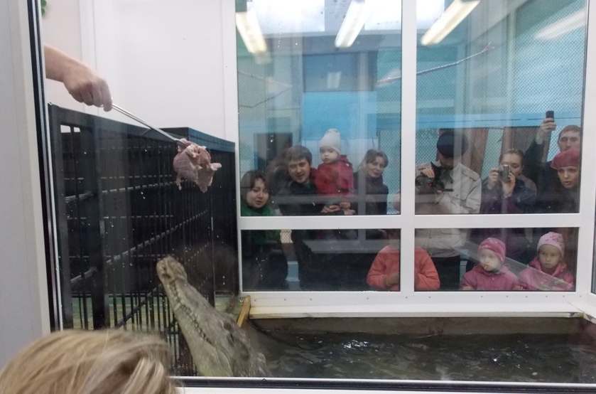 Северчане попали в «мир живой природы» Северчане попали в «мир живой природы»