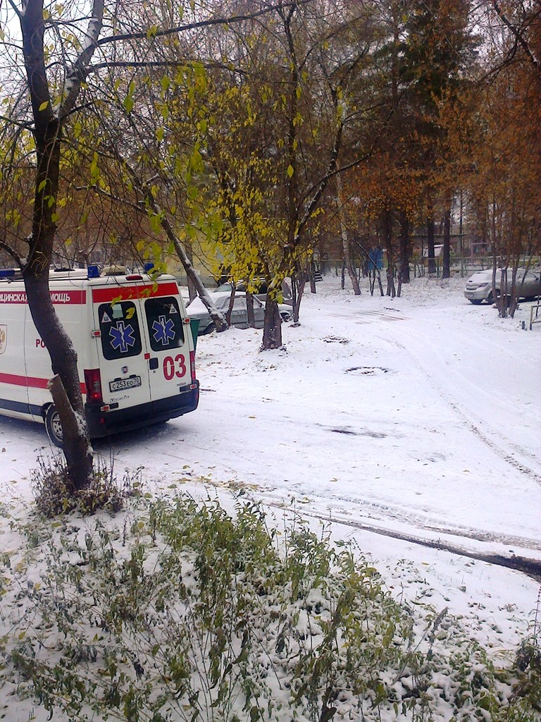 Первая жертва сегодняшнего гололеда Первая жертва сегодняшнего гололеда