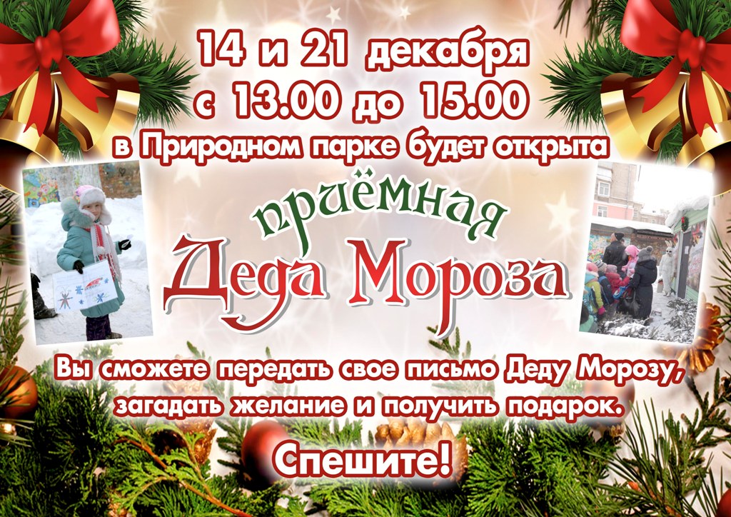 Приемная Деда Мороза Приемная Деда Мороза