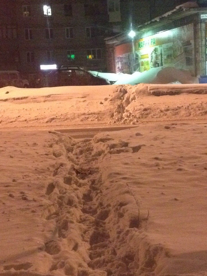 Пешеходные переходы в Северске Пешеходные переходы в Северске