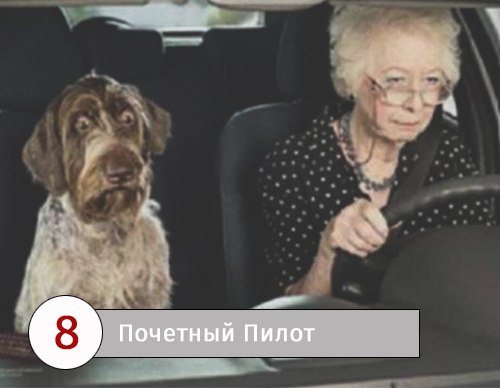 8 типов женщин за рулем 8 типов женщин за рулем