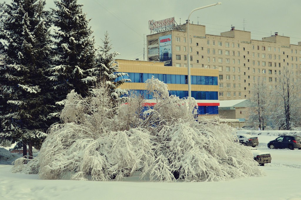 Зима не сдается Зима не сдается