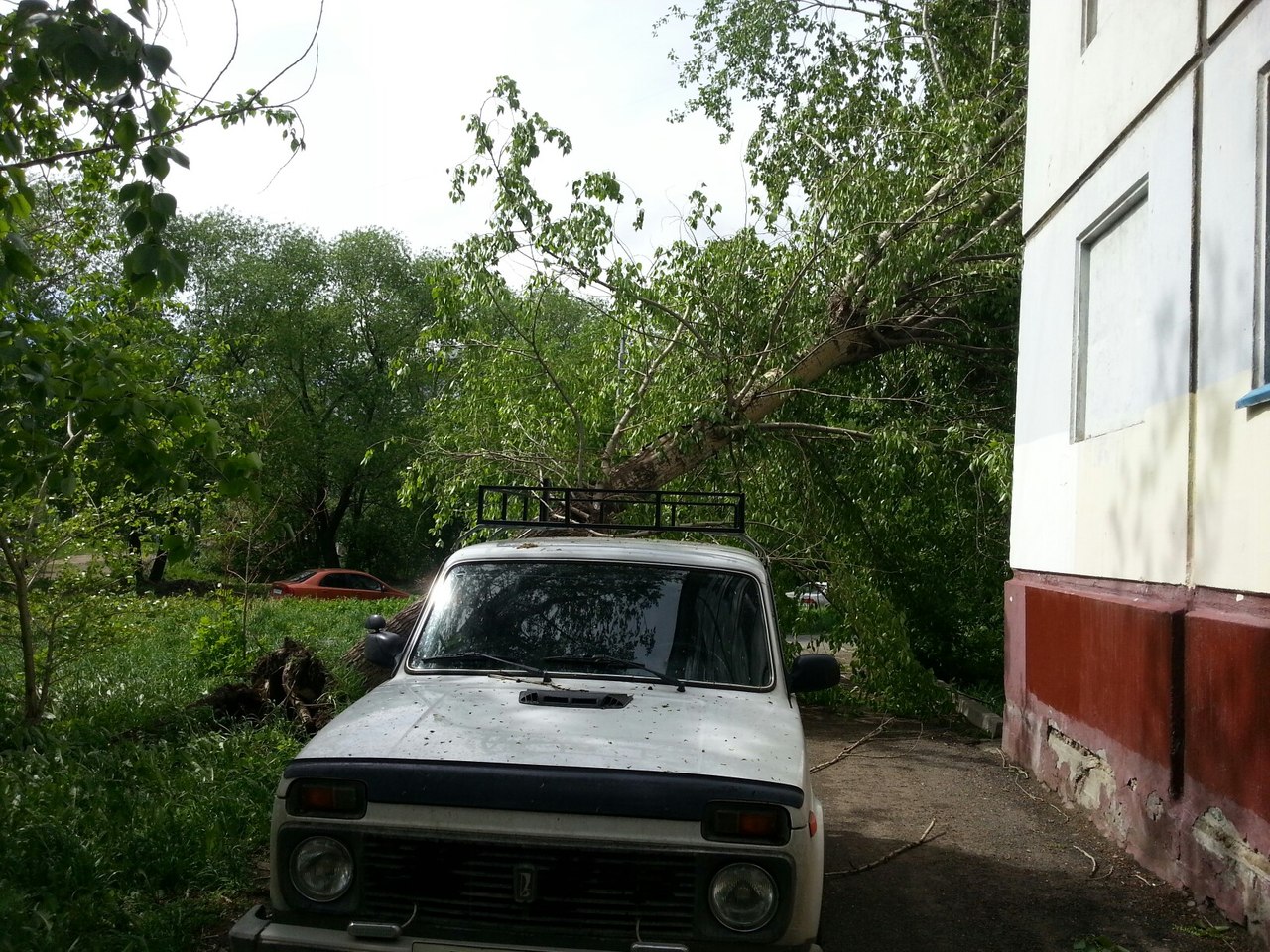 Это только начало Это только начало