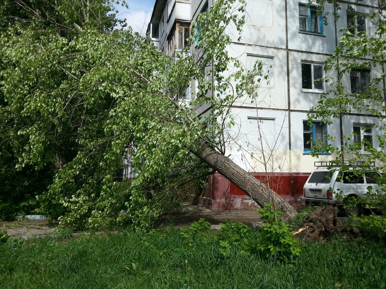 Это только начало Это только начало