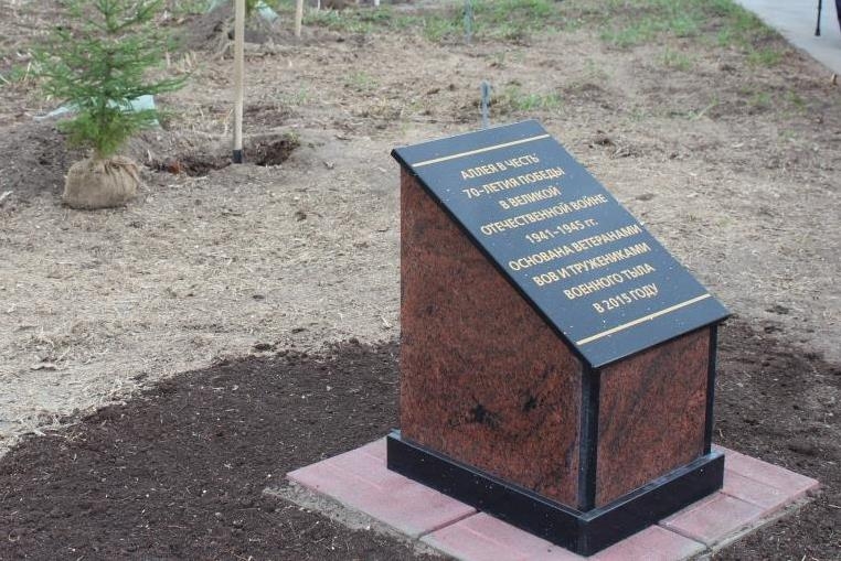 Северская власть: показуха и очковтирательство Северская власть: показуха и очковтирательство
