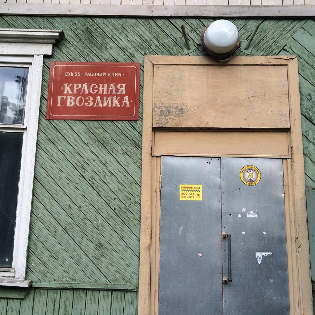 Красная гвоздика Красная гвоздика