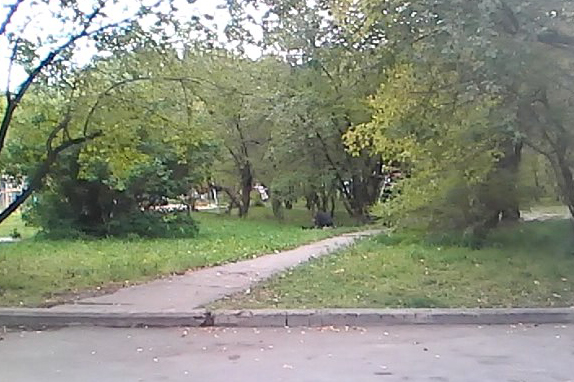 Мужчина на детской площадке Мужчина на детской площадке