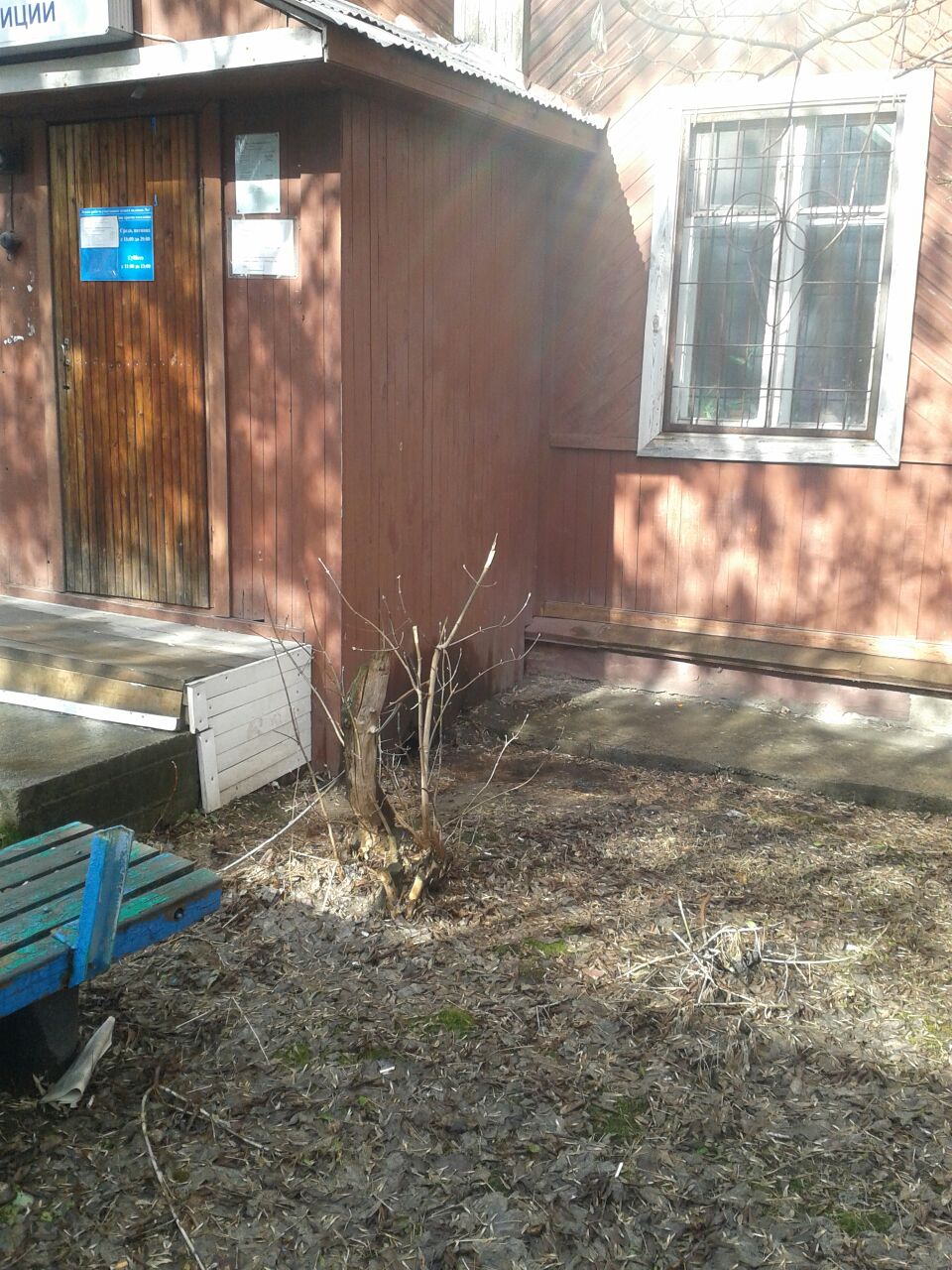 Мусора возле участкового пункта полиции не оказалось Мусора возле участкового пункта полиции не оказалось