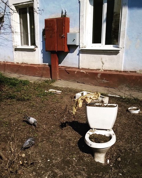 Виды во дворе Виды во дворе