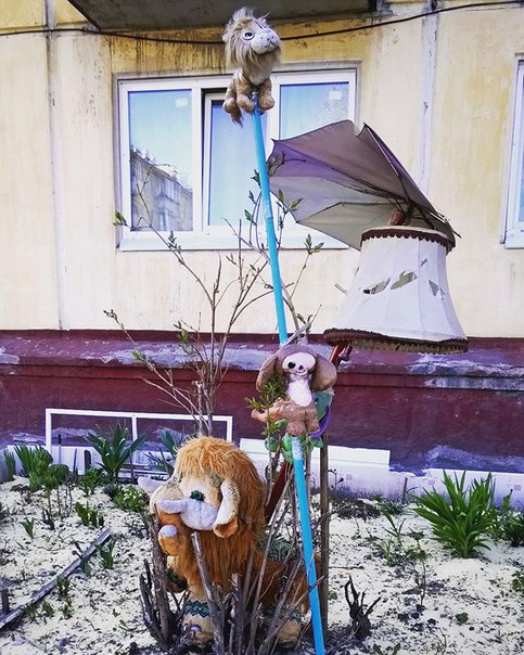 Виды во дворе Виды во дворе