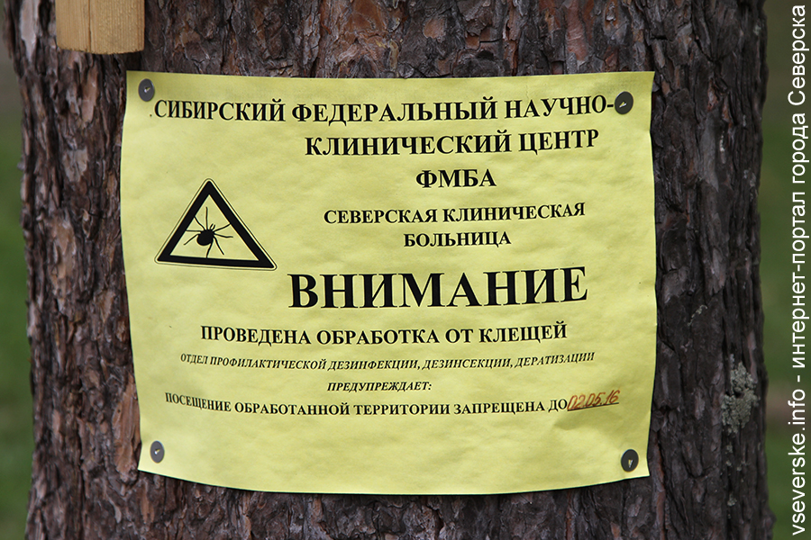 С начала сезона от клещей пострадало более 500 северчан С начала сезона от клещей пострадало более 500 северчан