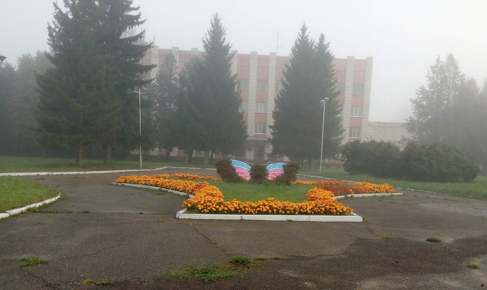 Утренний туман Утренний туман