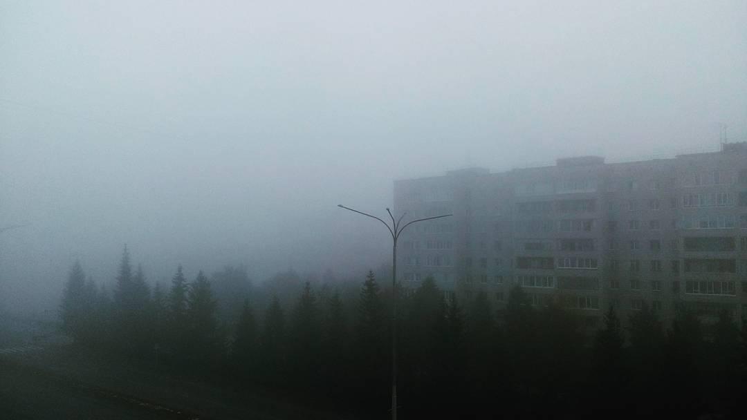 Утренний туман Утренний туман