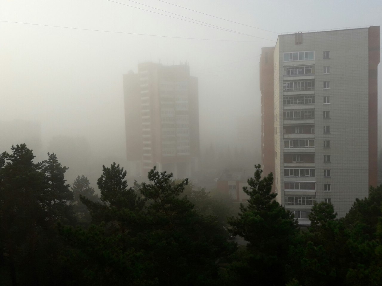 Утренний туман Утренний туман