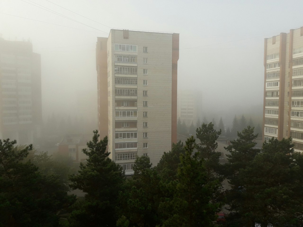 Утренний туман Утренний туман