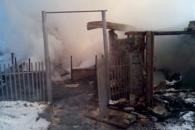 От пожара на Поперечке удалось спасти только двух собак От пожара на Поперечке удалось спасти только двух собак