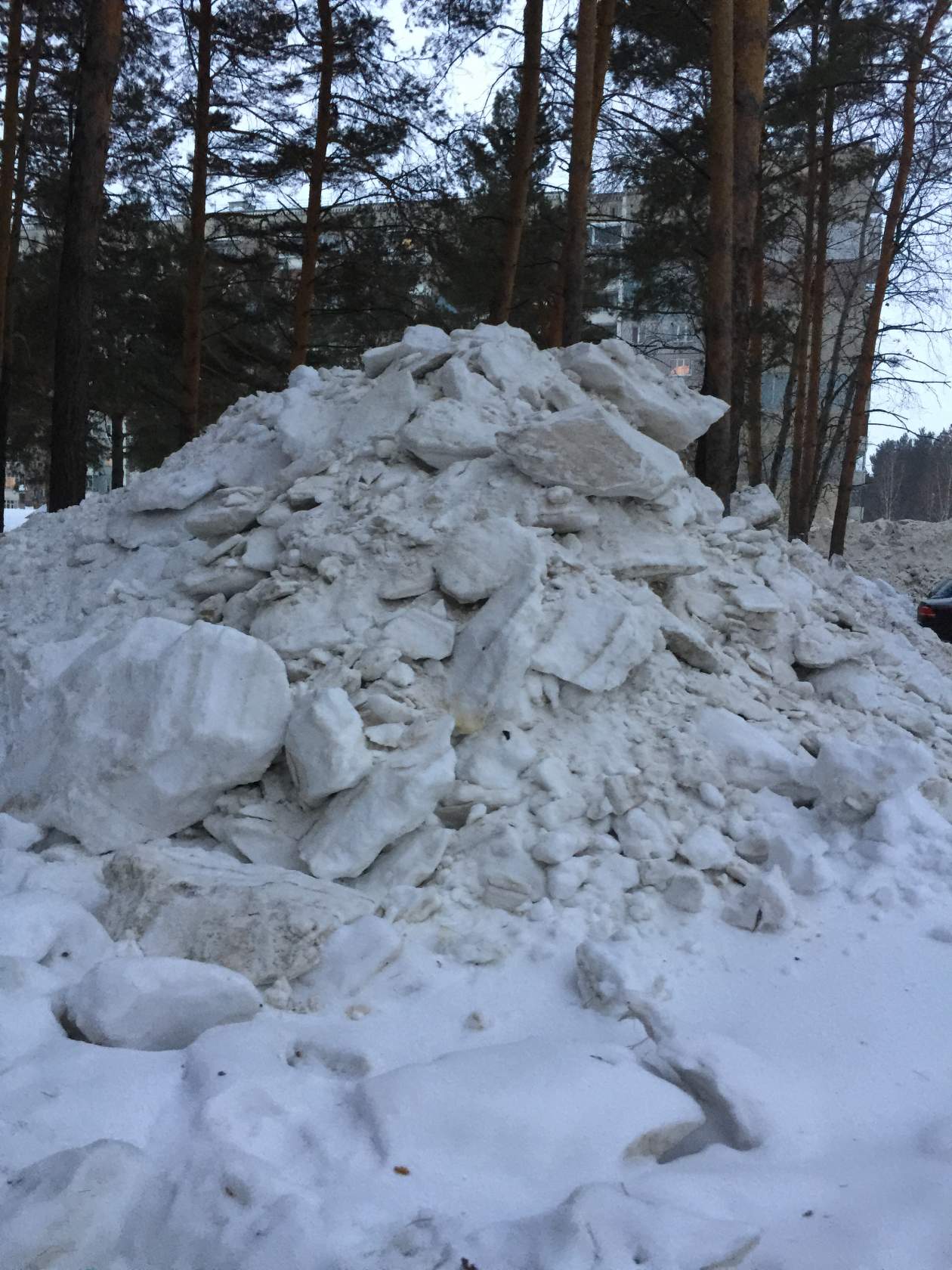 Кто будет все это вывозить? Кто будет все это вывозить?