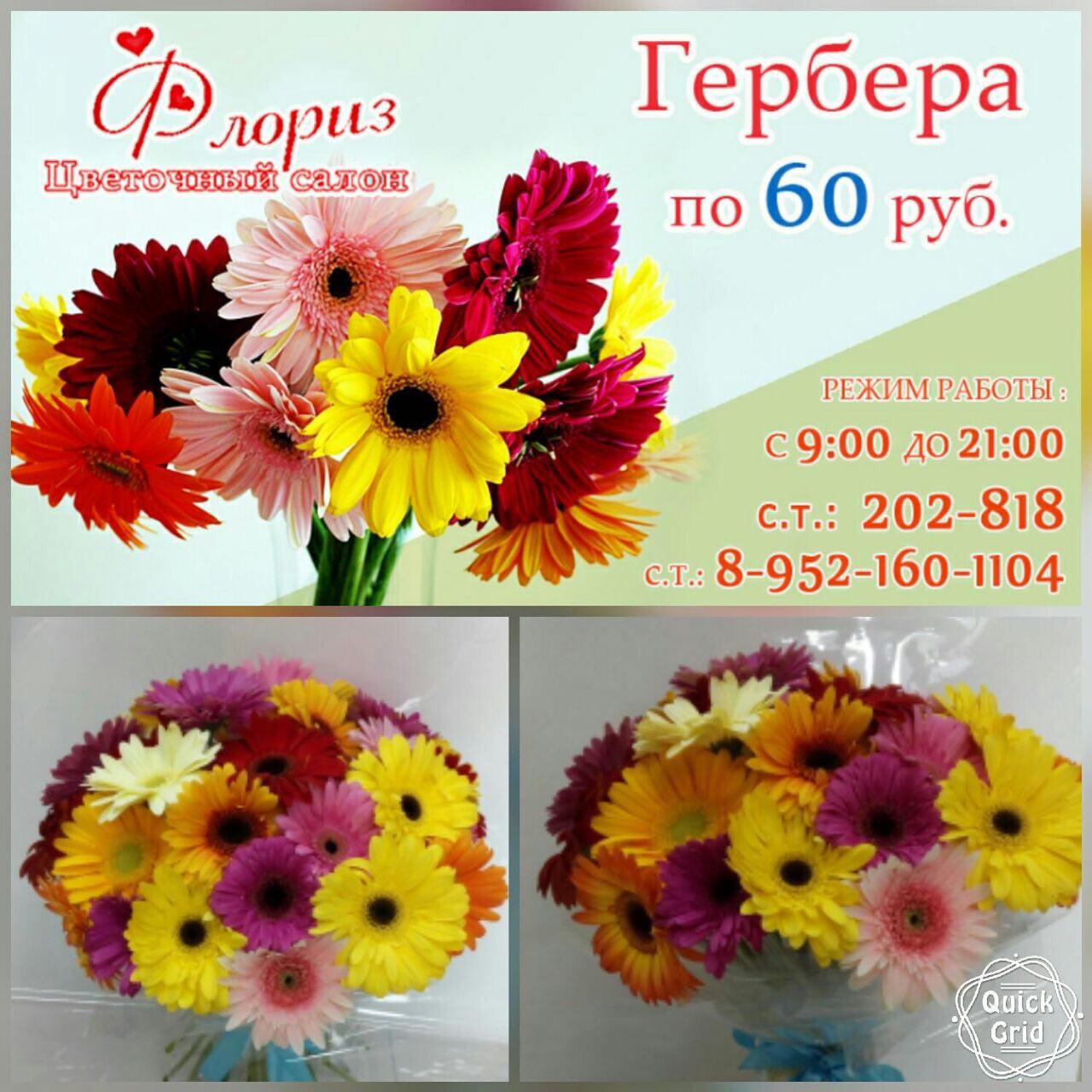 Цветочный салон «Флориз» Цветочный салон «Флориз»