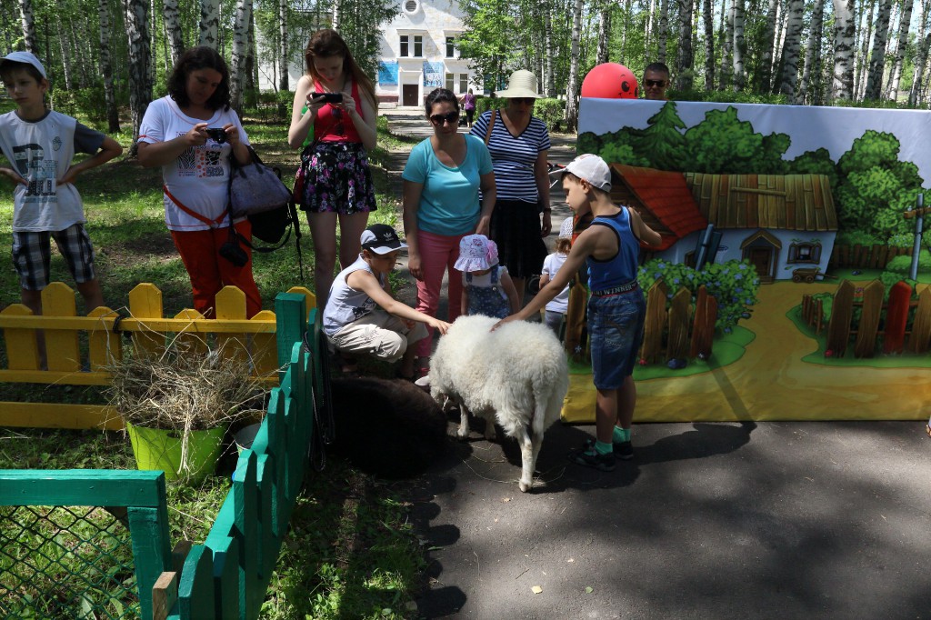Затея - удалась! Затея - удалась!
