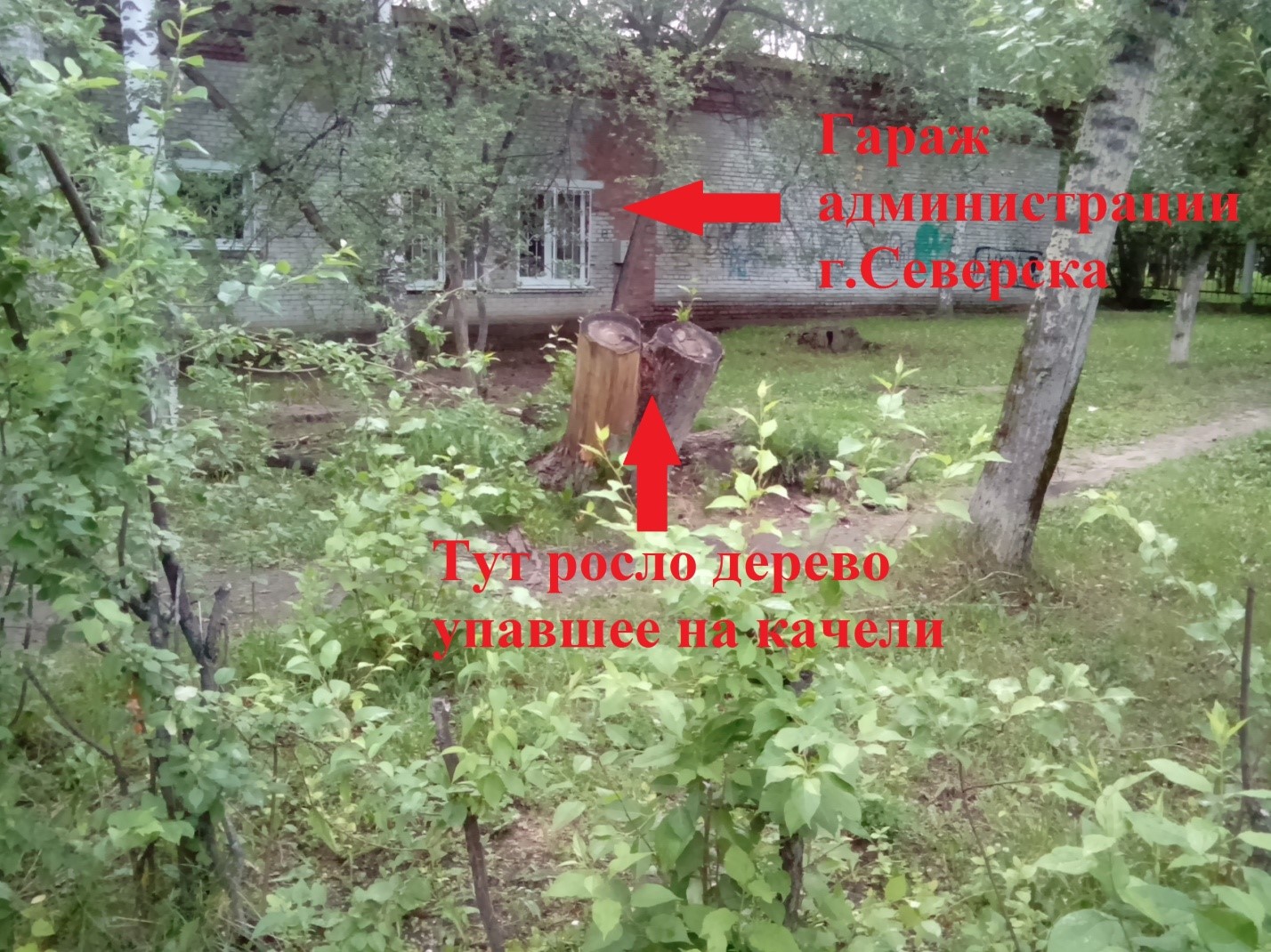 Письмо в редакцию. Инвентаризация в ЖЭУ-4 или почти год без качелей! Письмо в редакцию. Инвентаризация в ЖЭУ-4 или почти год без качелей!