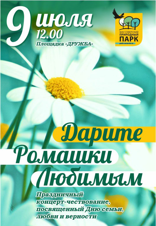 Дарите ромашки любимым Дарите ромашки любимым