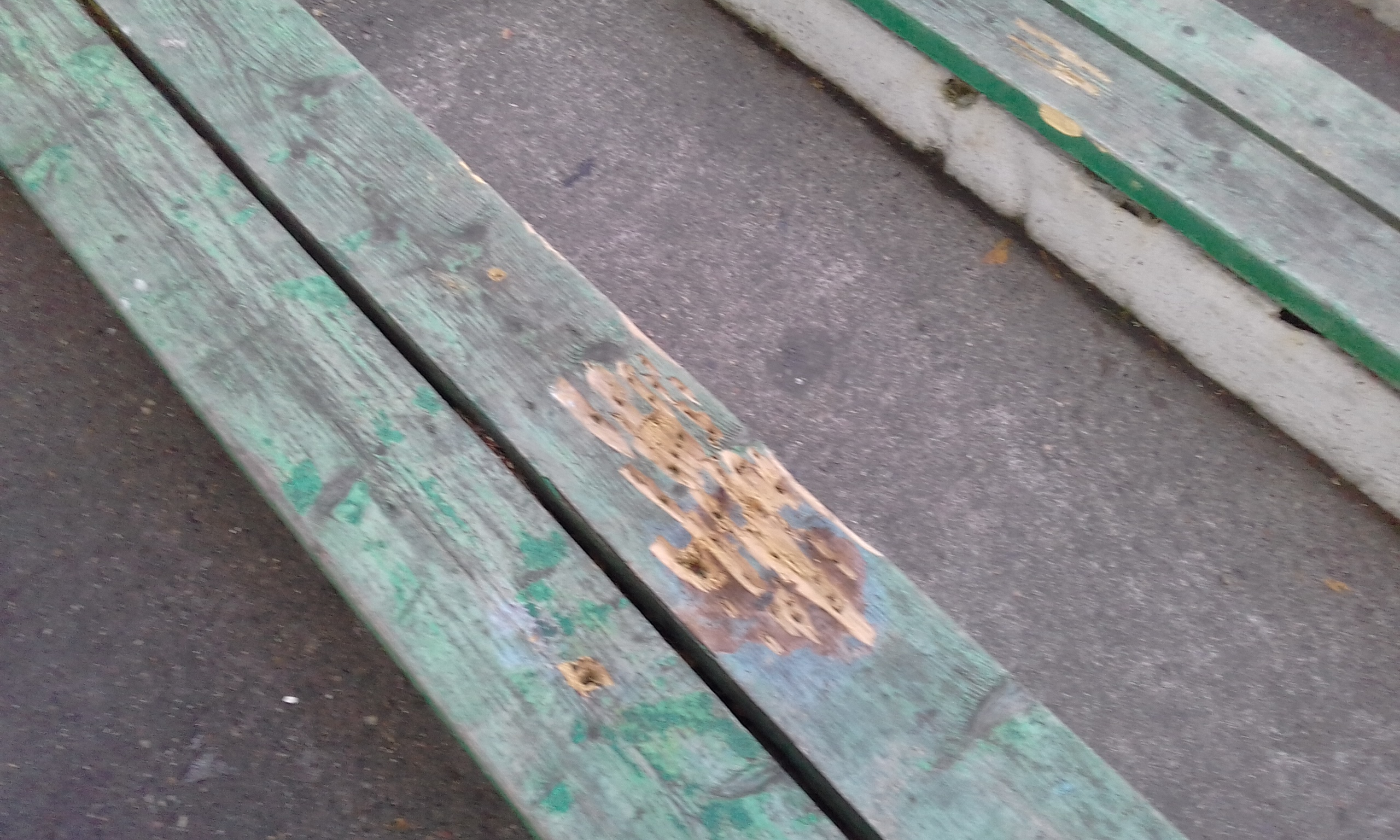 В парке разгромлена летняя эстрада В парке разгромлена летняя эстрада