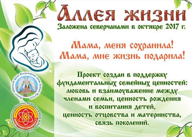 Аллея жизни Аллея жизни