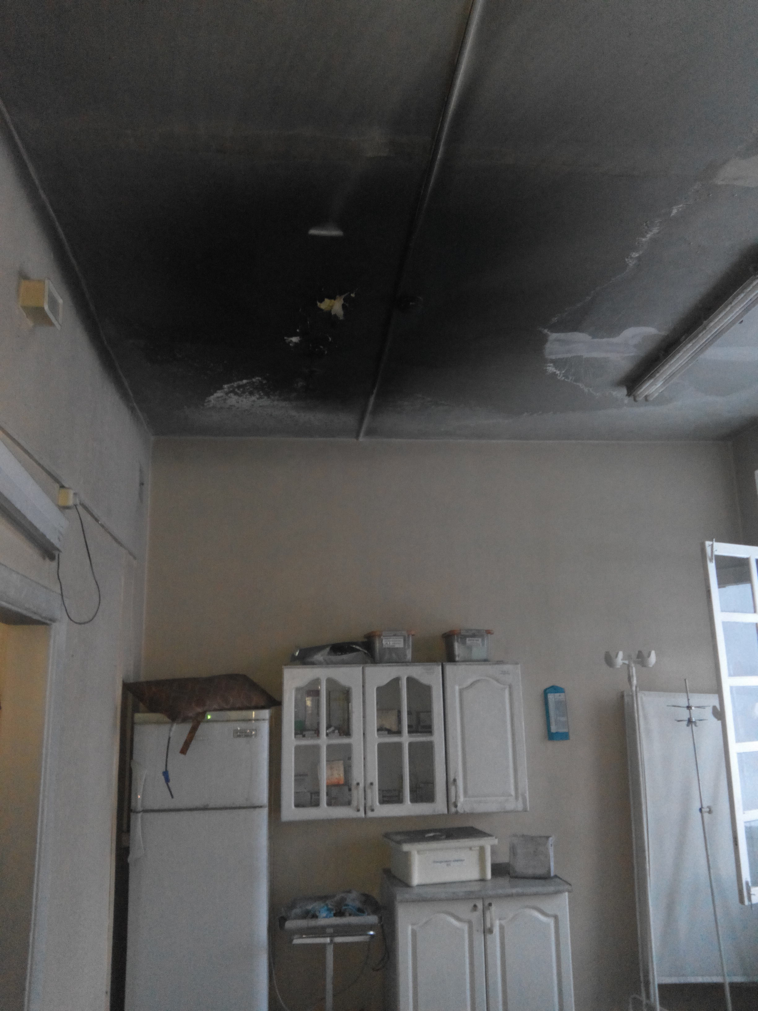 Добровольные помощники пожарных Добровольные помощники пожарных
