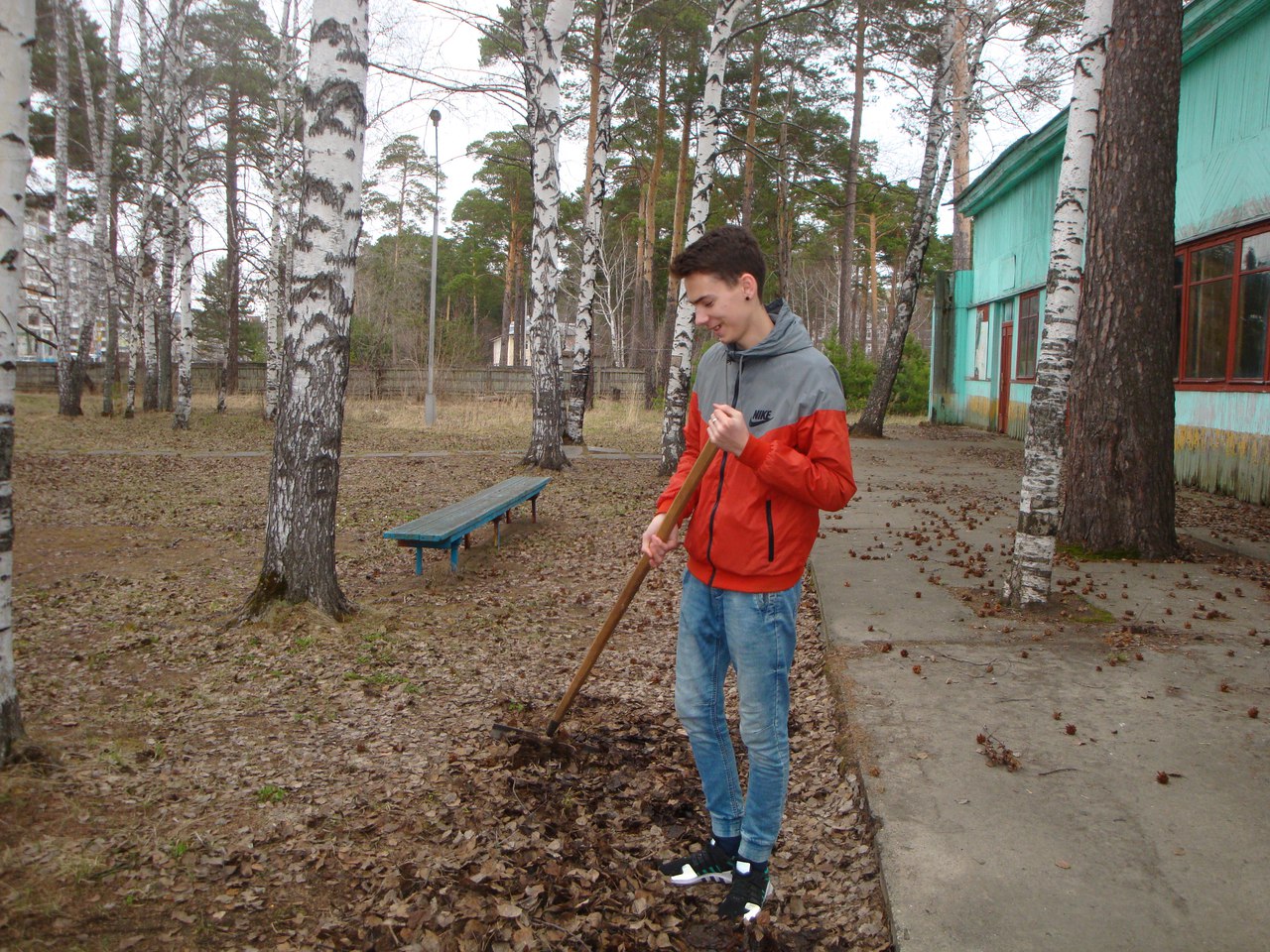 Зеленая весна Зеленая весна