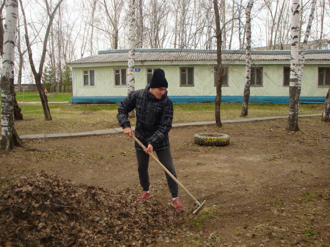 Зеленая весна Зеленая весна