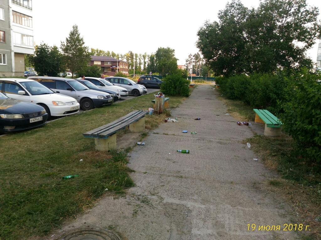 Письмо в редакцию. Свинство «господ» Письмо в редакцию. Свинство «господ»