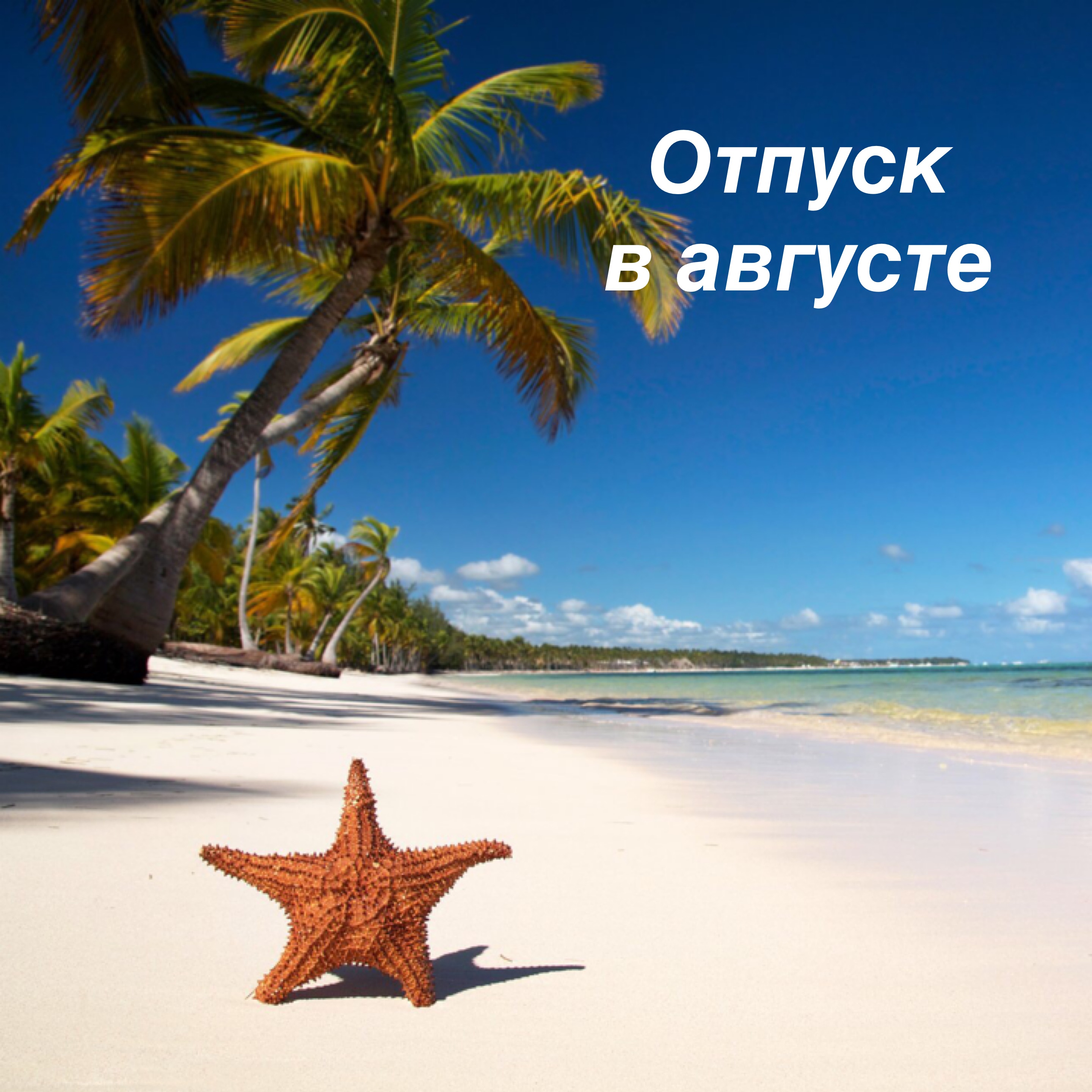 Идеальный отдых по доступной цене! Идеальный отдых по доступной цене!