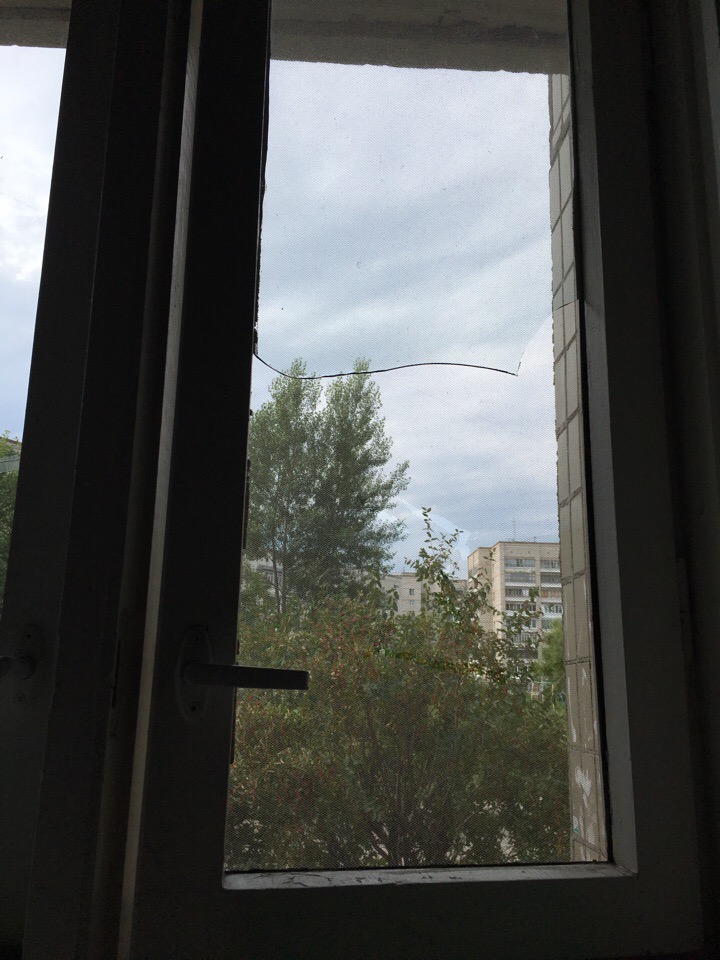 Письмо в редакцию. Разбитое стекло за замечание Письмо в редакцию. Разбитое стекло за замечание