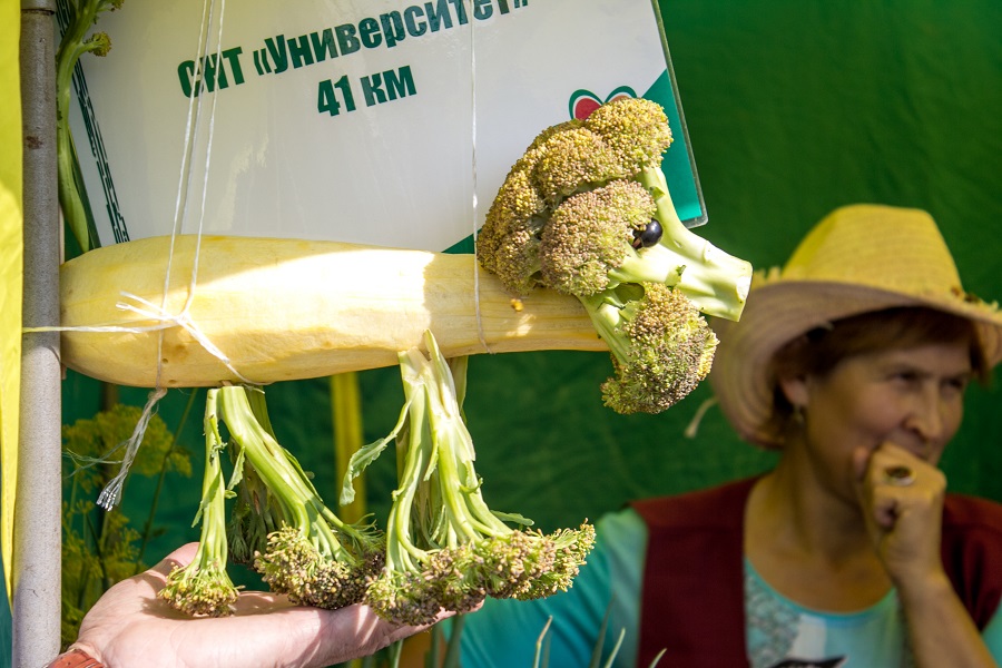 15 сентября на Томском областном рынке пройдет ярмарка «Урожай-2018» 15 сентября на Томском областном рынке пройдет ярмарка «Урожай-2018»