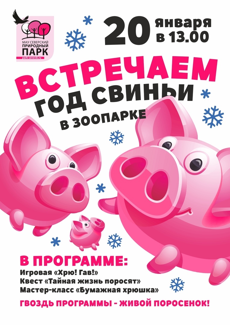 Встречаем год Свиньи! Встречаем год Свиньи!