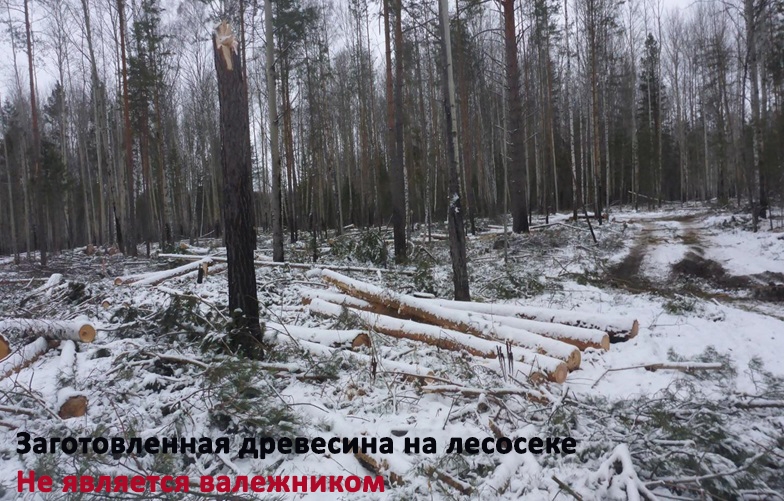 Рекомендации о порядке заготовки и сбора валежника на территории ЗАТО Северск Рекомендации о порядке заготовки и сбора валежника на территории ЗАТО Северск