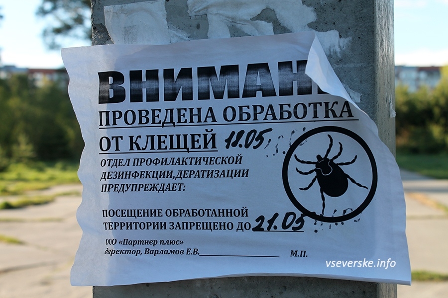 В этом году больше 1,4 тысяч северчан обратились за медицинской помощью после укусов клещей В этом году больше 1,4 тысяч северчан обратились за медицинской помощью после укусов клещей