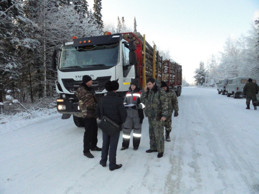 В Северске проведен рейд на предмет законности транспортировки заготовленной древесины В Северске проведен рейд на предмет законности транспортировки заготовленной древесины
