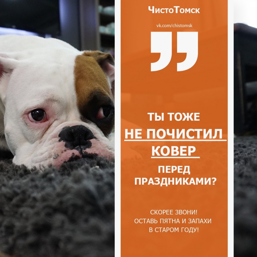 Выездная химчистка наведет чистоту на ваших диванах и коврах! Выездная химчистка наведет чистоту на ваших диванах и коврах!