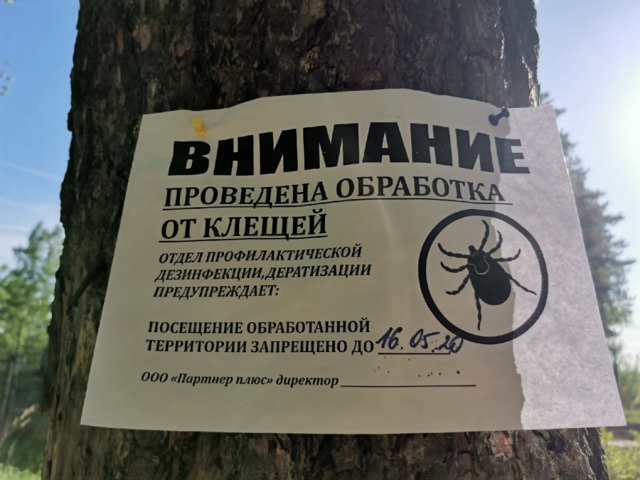 За прошлую неделю 254 северчанина обратились за медицинской помощью в связи с присасыванием клещей За прошлую неделю 254 северчанина обратились за медицинской помощью в связи с присасыванием клещей