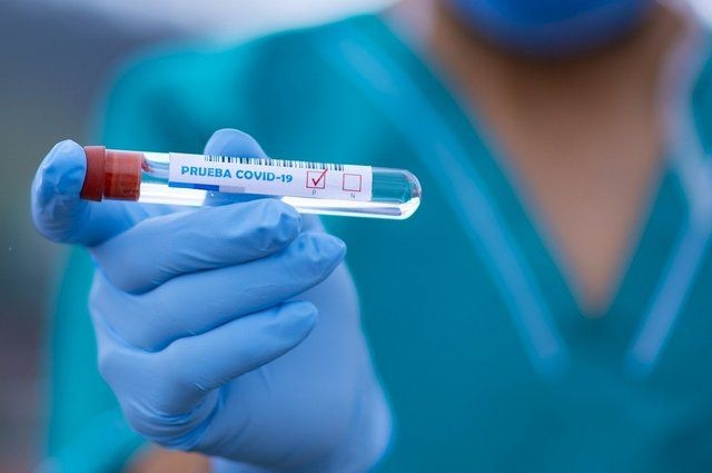 Число зараженных коронавирусом в Северске достигло 151 Число зараженных коронавирусом в Северске достигло 151
