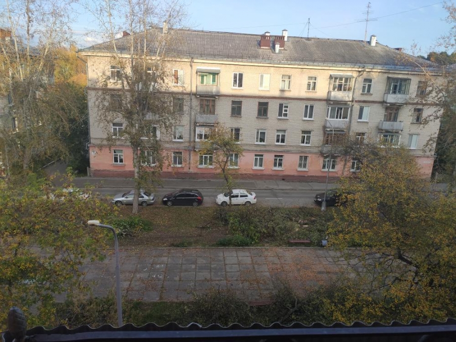 Письмо в редакцию. Аллея на Маяковского Письмо в редакцию. Аллея на Маяковского