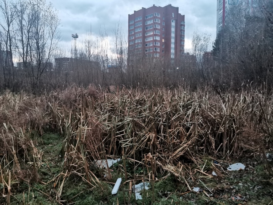 Письмо в редакцию Письмо в редакцию