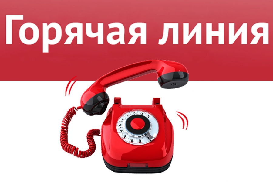 Сегодня проходит «горячая линия» по вопросам пенсионного и социального обеспечения инвалидов Сегодня проходит «горячая линия» по вопросам пенсионного и социального обеспечения инвалидов