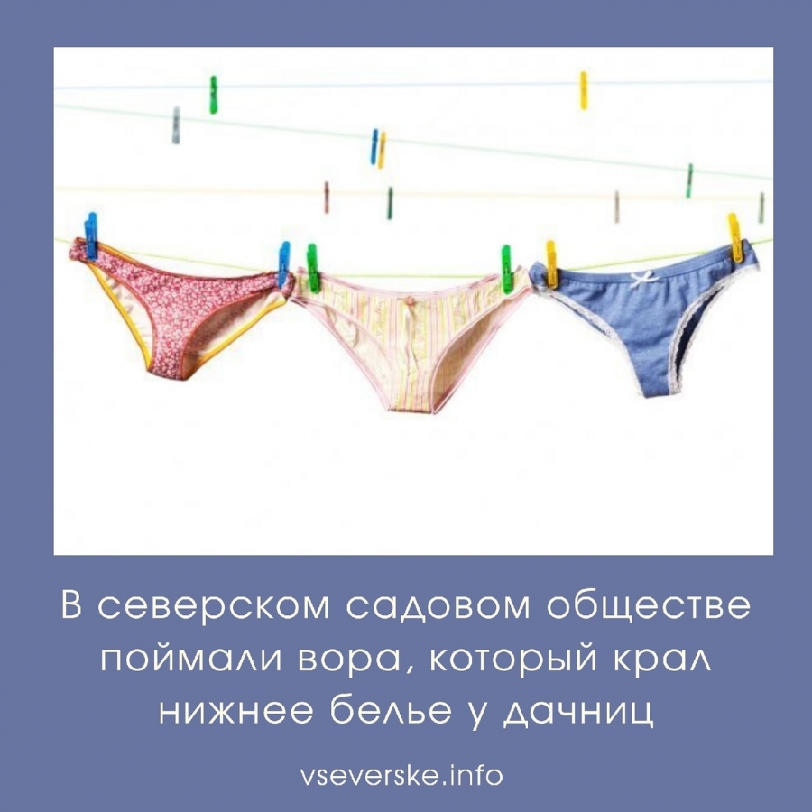 В северском садовом обществе поймали вора, который крал нижнее белье у дачниц В северском садовом обществе поймали вора, который крал нижнее белье у дачниц