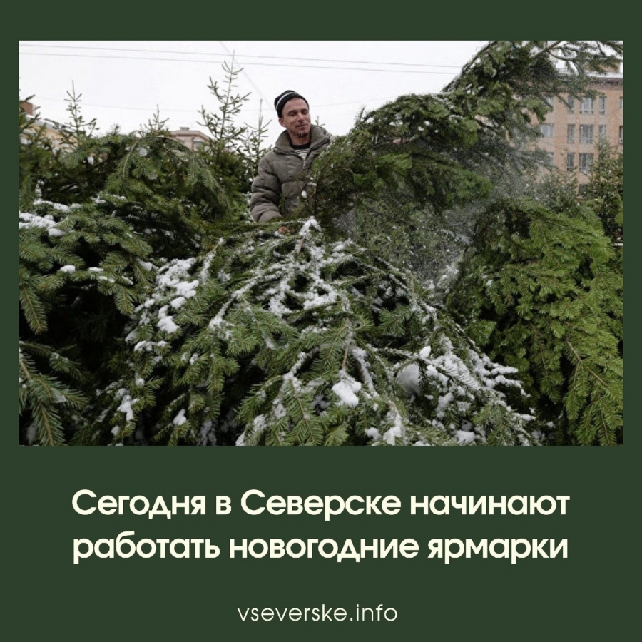 В Северске начали работать новогодние ярмарки В Северске начали работать новогодние ярмарки